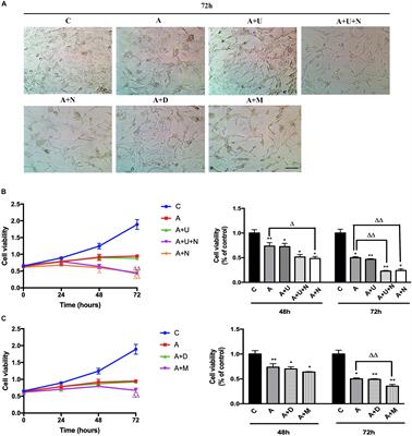 Opposite Roles of δ- and μ-Opioid Receptors in BACE1 Regulation and Alzheimer’s Injury